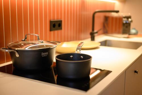 慕尼黑Naturglück Inselmühle的厨房里两个锅碗瓢盆,坐在炉子上