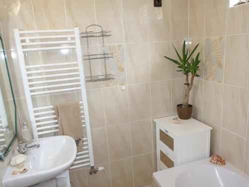 希欧福克Studio in Siofok/Balaton 35633的一间带水槽、卫生间和植物的浴室