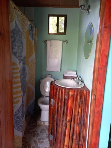 大玉米岛Hospedaje Rosa Del Mar的一间带水槽和卫生间的浴室