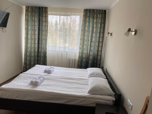 利沃夫Vlasta Hotel的一间卧室配有一张床,并备有2个拖鞋