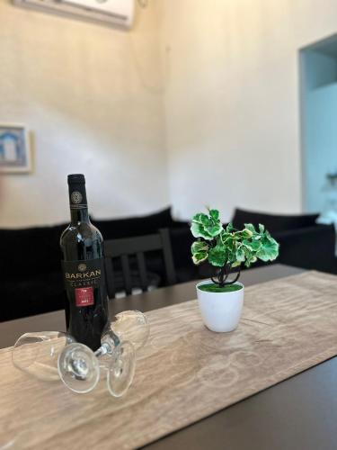 萨法德בר יוחאי的一瓶葡萄酒和一张桌子上的盆栽植物