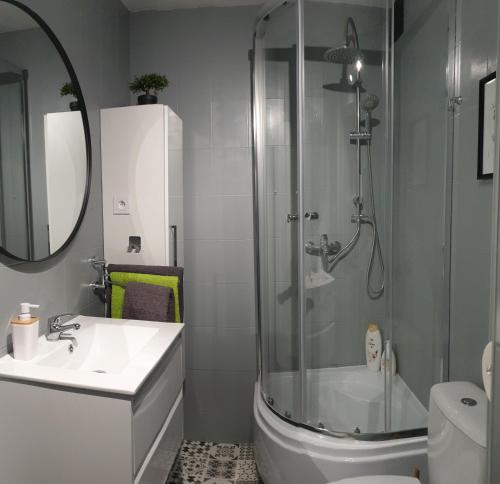 科宁APARTAMENT 2+2的带淋浴、卫生间和盥洗盆的浴室
