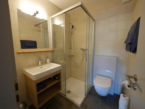 Le Paquier伯恩奥伯格布奈酒店的带淋浴、盥洗盆和卫生间的浴室