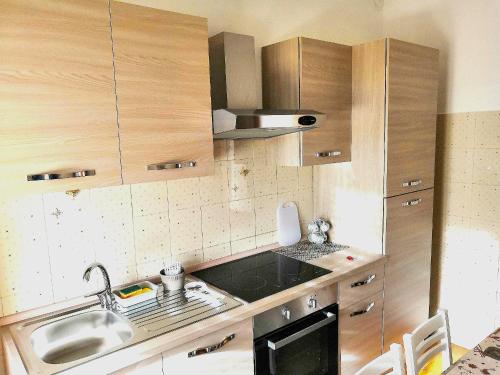 诺瓦拉Novara Suite的一个带木制橱柜和水槽的小厨房