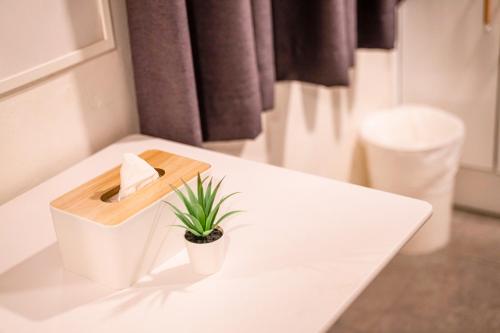 首尔首尔大厦旅馆的浴室设有白色水槽,上面有植物