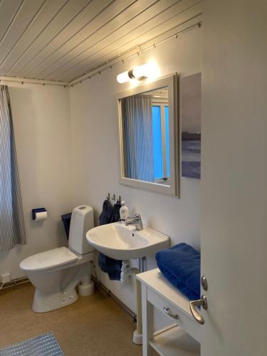 SkurupSlimmingegården的一间带卫生间、水槽和镜子的浴室