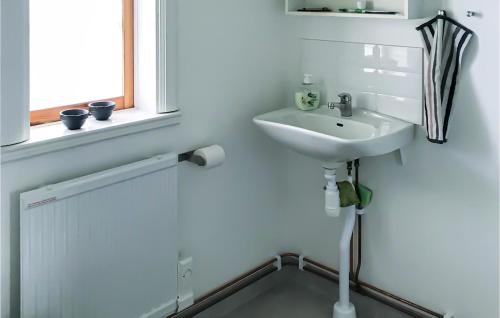 TrÃ¥ngsvikenLovely Home In Trngsviken With Kitchen的白色的浴室设有水槽和窗户。