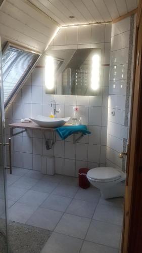 诺德施泰特Haus am Scharpenmoor的一间带水槽、卫生间和镜子的浴室