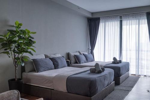 丹绒道光Deluxe Seaview Suite Twin Bed by The Only Bnb的卧室配有两张床、一张沙发和一个植物