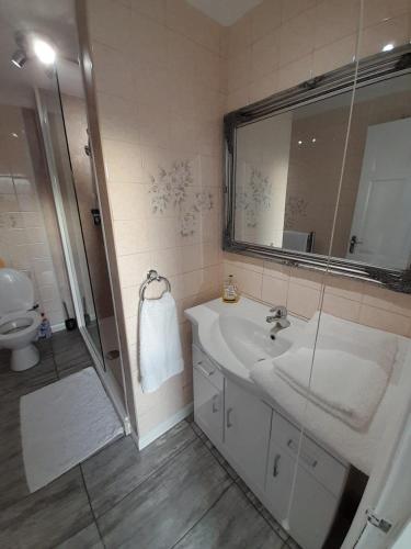 古耳riverside rooms at wheelgate house的一间带水槽、淋浴和镜子的浴室