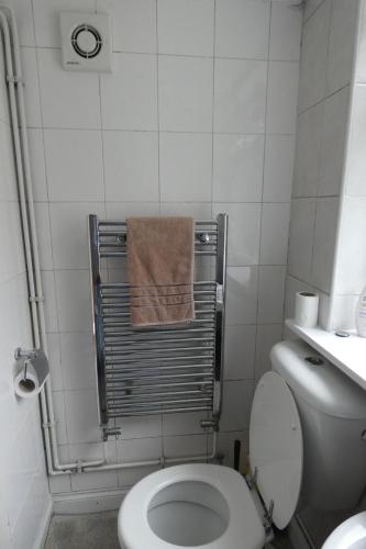 伦敦The South View的浴室设有卫生间,毛巾架上备有毛巾