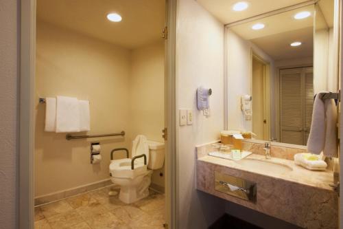 普埃布拉普埃布拉诺里亚假日酒店的一间带水槽、卫生间和镜子的浴室