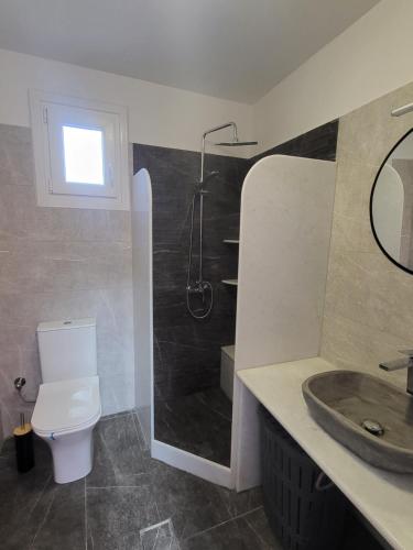 埃尔莫波利斯Evangelia's Cozy House的带淋浴、卫生间和盥洗盆的浴室