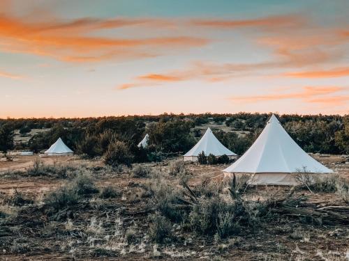 瓦莱Wander Camp Grand Canyon的一群白人帐篷,在一片田野上,日落