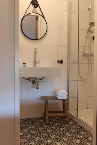 Aarle-RixtelPorcus Campus的一间带水槽和淋浴的浴室