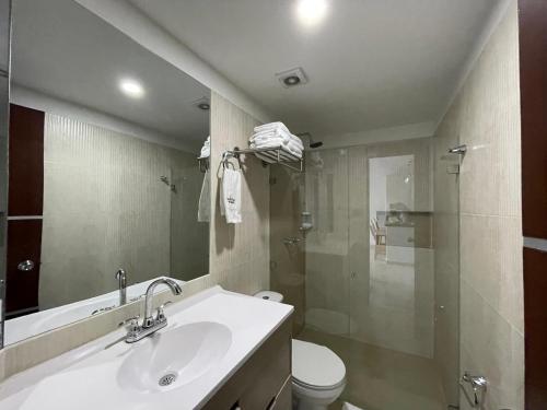 圣希尔Trip Monkey Apartments的一间带水槽、卫生间和淋浴的浴室