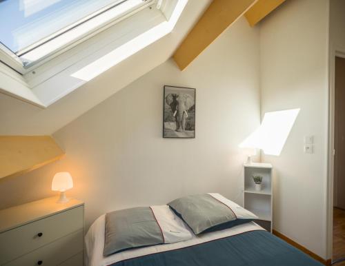 特鲁瓦Le Duplex Troyen - 5 min Hypercentre - Ideal Groupe - Parking Gratuit的一间卧室配有一张床和天窗