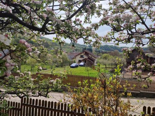 BrăduleţCottage in traditional village Bradulet, Arges county的享有带围栏和房屋的庭院景色