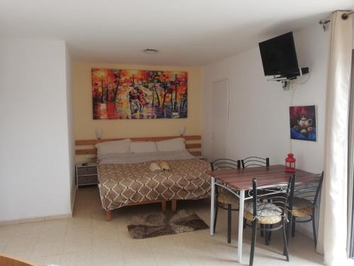 阿拉德Desert Sunrise Arad的一间卧室配有一张床、一张桌子和一台电视