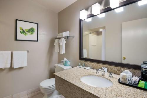 尤金新俄勒冈贝斯特韦斯特酒店的一间带水槽、卫生间和镜子的浴室
