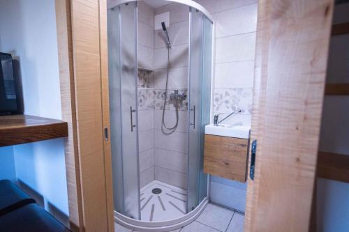 Šentvid pri StičniHoliday home in Sentvid pri Sticni - Zentralslowenien 43927的带淋浴和盥洗盆的浴室