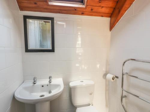洛赫吉尔普黑德Crinan Canal Cottage的白色的浴室设有卫生间和水槽。
