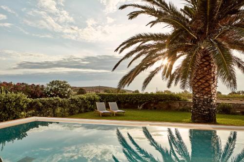 帕拉斯波罗斯伊莉亚岛精品酒店及水疗中心 的游泳池旁的棕榈树和两把椅子