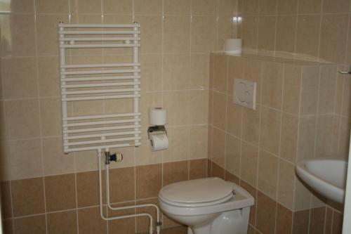 弗劳温普尔德Budget Hotel Vrouwenpolder的一间带卫生间和水槽的浴室