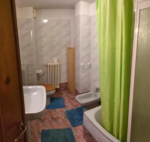 蒙蒂奥韦特Casa Vacanze Anilla&Miotto的一间带绿色淋浴帘和卫生间的浴室