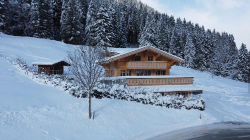 GsteigChalet mit Kino und Jacuzzi in Gsteig b. Gstaad的雪地里的小木屋,有树