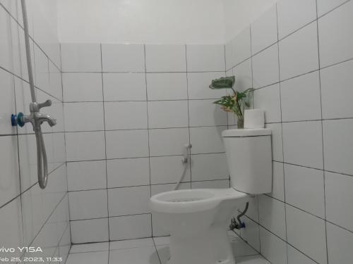 圣维森特Vincent Lloyd's Guestroom的浴室设有卫生间,上面有植物