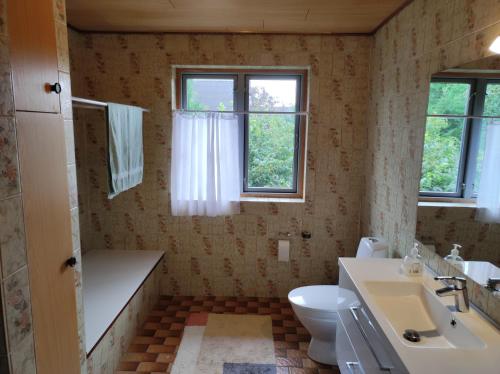 菲耶里茨莱乌Hjortdal B&B的一间带水槽和卫生间的浴室以及两个窗户。