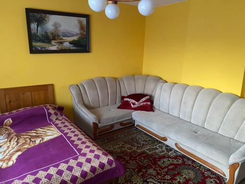 MizernaNoclegi u Janika的客厅配有沙发和椅子