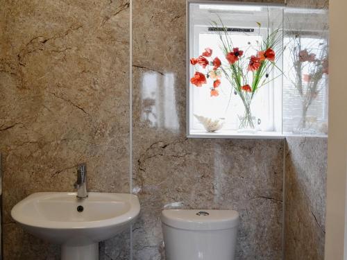 Whitehills阿什利酒店的一间带水槽和卫生间的浴室以及窗户。
