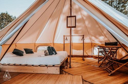 拉卡沃Lodg'ing Nature Camp Dordogne的帐篷配有一张床和一张书桌