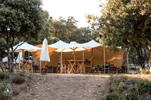 Saint-Michel-lʼObservatoireLodg'ing Nature Camp Luberon的公园内带桌子和遮阳伞的帐篷