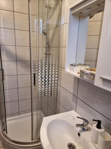 科普里夫尼察Skitnica House sobe的一间带水槽和淋浴的浴室