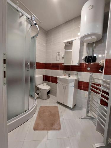 索科矿泉村Apartman ST.Nedeljkovic Sokobanja的带淋浴、卫生间和盥洗盆的浴室