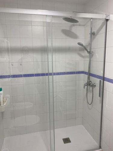 埃希哈APARTAMENTO PLAZA ESPAÑA的浴室里设有玻璃门淋浴