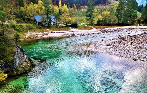 塔尔维西奥la LUNA delle MONTAGNE Charme & SPA Chalet的享有河流和绿色水面的空中景致