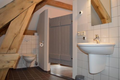 泽兰省Herberg d'n Driesprong的一间带水槽和卫生间的浴室