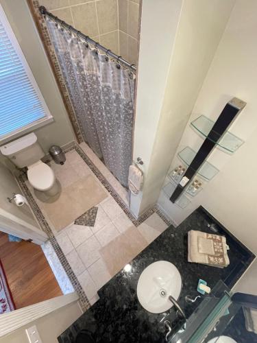 华盛顿Deluxe King Master Suite的享有带卫生间和淋浴的浴室的顶部景致。