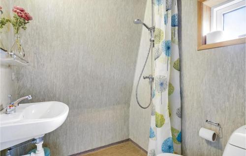 腓特烈西亚Pet Friendly Home In Fredericia With Wifi的带淋浴和盥洗盆的浴室