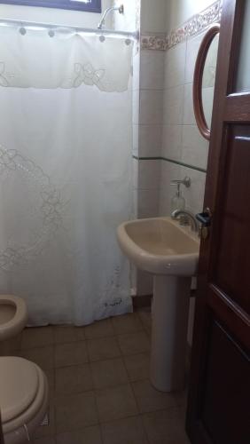 圣萨尔瓦多德朱Chalet del Rosedal的浴室配有水槽、卫生间和浴帘