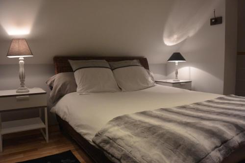 La Membrolle-sur-Choisille舒瓦西尔公寓的一间卧室配有一张大床和两盏灯