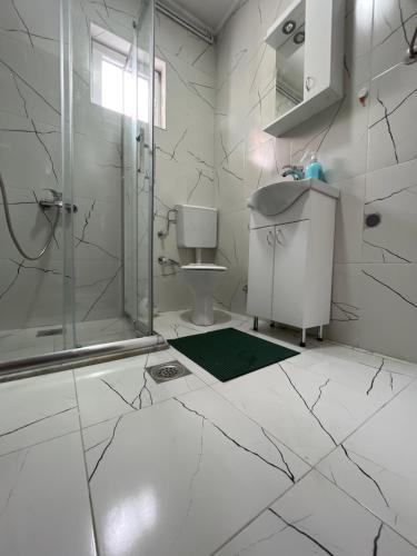 新帕扎尔ALOHA apartment的带淋浴和盥洗盆的白色浴室