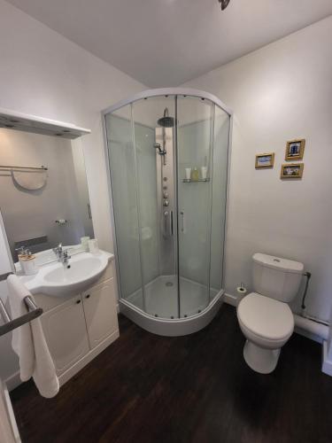 Ansac-sur-Vienne福乐尔德里斯酒店的带淋浴、卫生间和盥洗盆的浴室