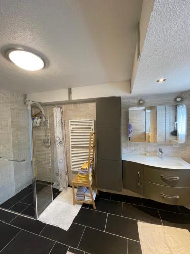 CouvetAppartement Wonder的一间带水槽、浴缸和淋浴的浴室