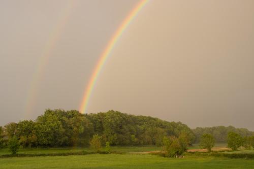 特里姆Woodview Lodge的天上空的彩虹