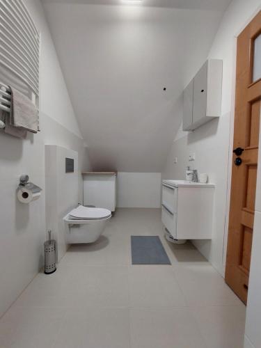 克拉科夫Pokoje Kraków Tyniec的白色的浴室设有卫生间和水槽。
